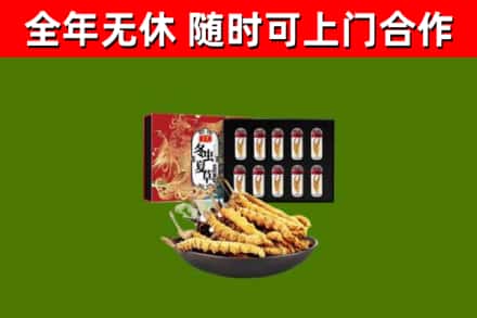 汶上县回收冬虫夏草价格